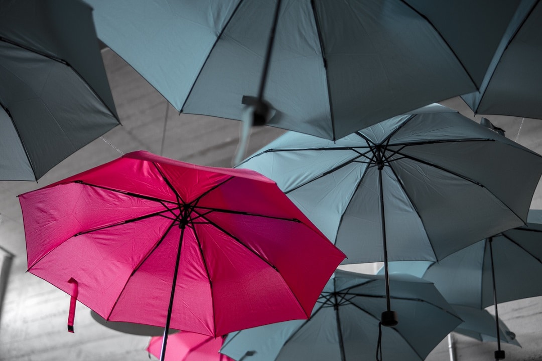 How an internal auditor can add value
